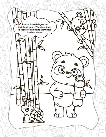 Whizki Summer Activities Kindergarten to 1st Grade Workbooks, Facts About Animals, Mazes, Quizzes and Coloring Activities for Kids Ages 3-7 - Fun and ... and Brain Quests: Animals Coloring Adventures