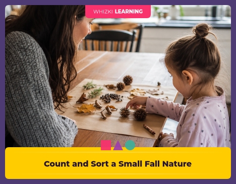 Count and Sort a Small Fall Nature Collection || 'Tips for making learning at home super fun.'
