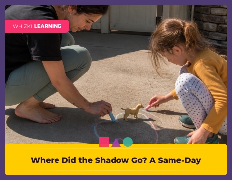 Where Did the Shadow Go? A Same-Day Investigation || 'Tips for making learning at home super fun.'