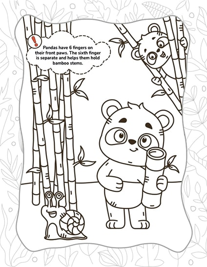 Animal Coloring Adventures Workbook for Kids Ages 3-7: Facts, Mazes, Quizzes, and Coloring Activities