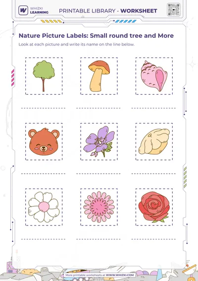 Nature Picture Labels: Small round tree and More