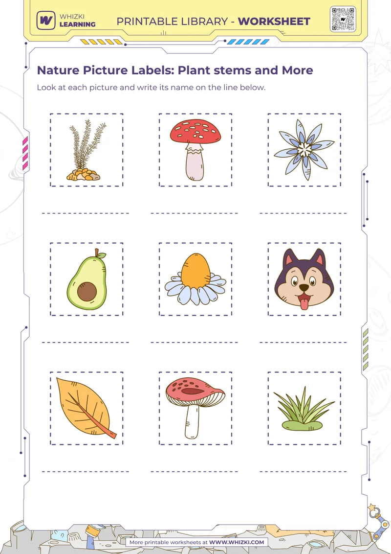 Nature Picture Labels: Plant stems and More