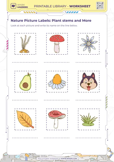 Nature Picture Labels: Plant stems and More