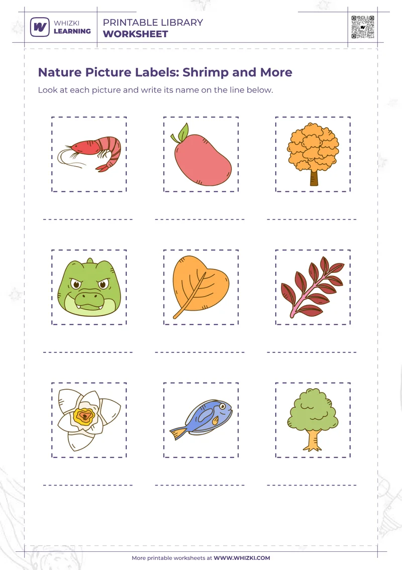 Nature Picture Labels: Shrimp and More