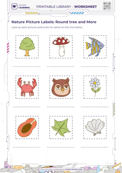 Nature Picture Labels: Round tree and More
