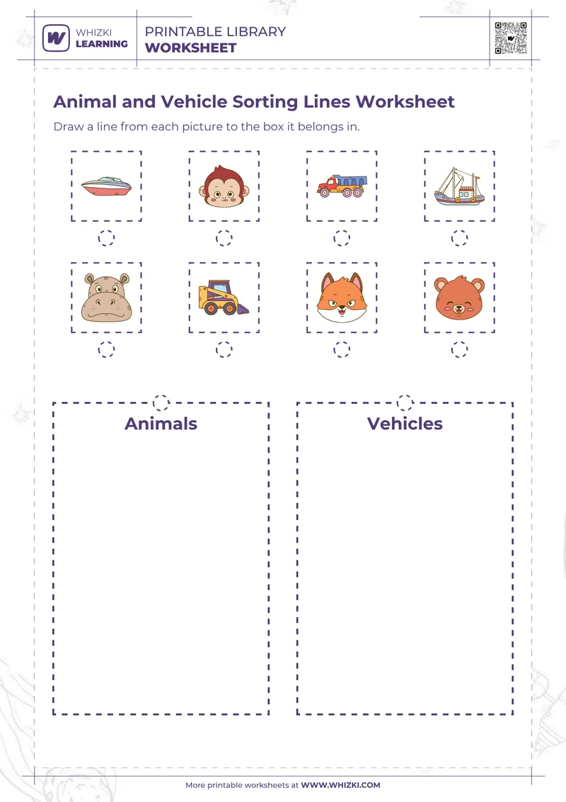 Animal and Vehicle Sorting Lines Worksheet