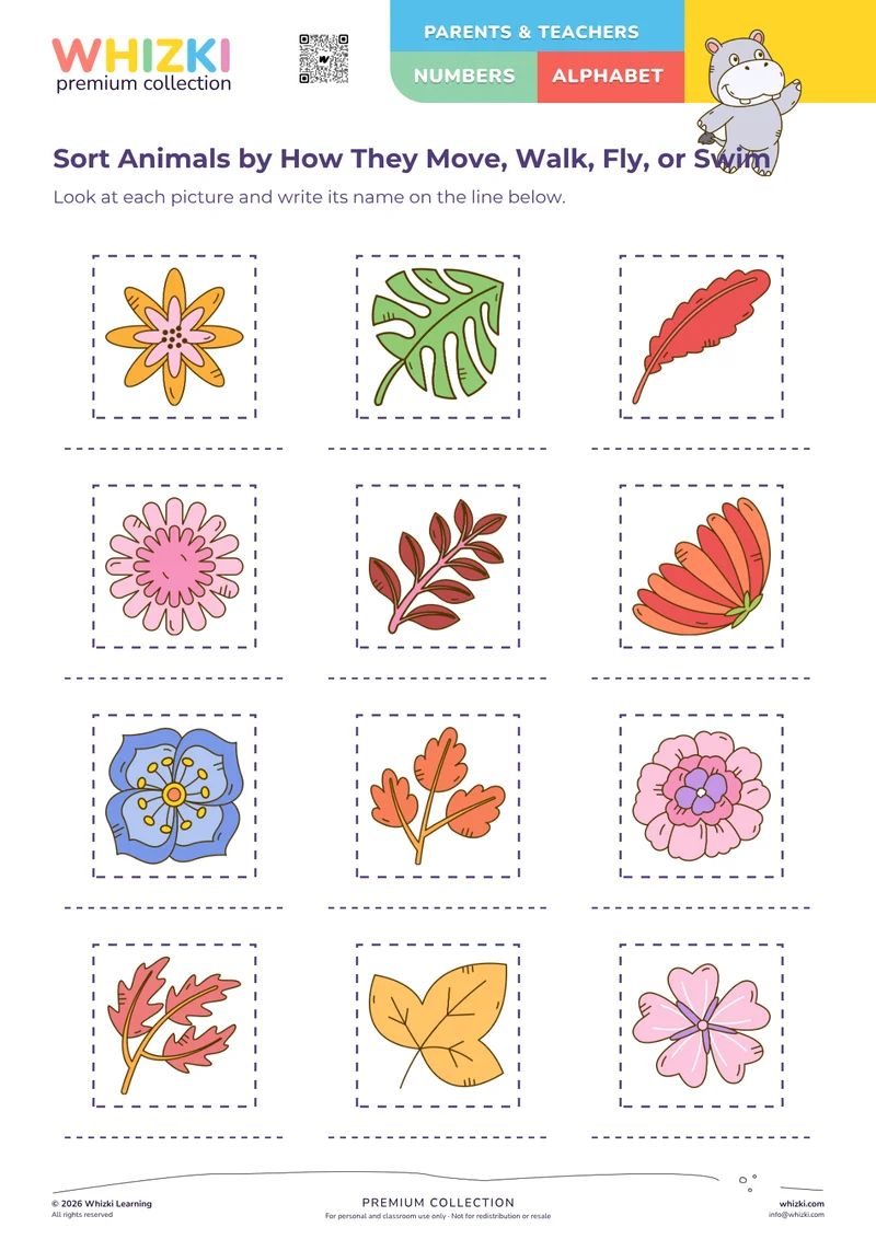 Sort Animals by How They Move, Walk, Fly, or Swim