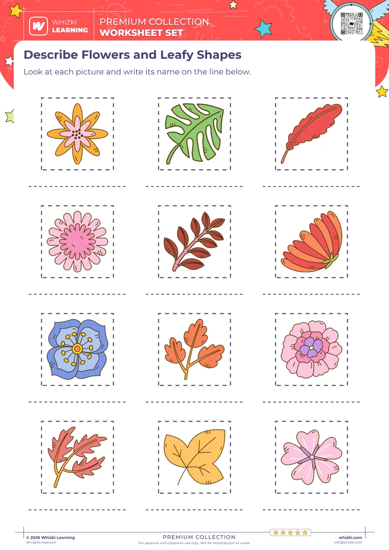 Describe Flowers and Leafy Shapes