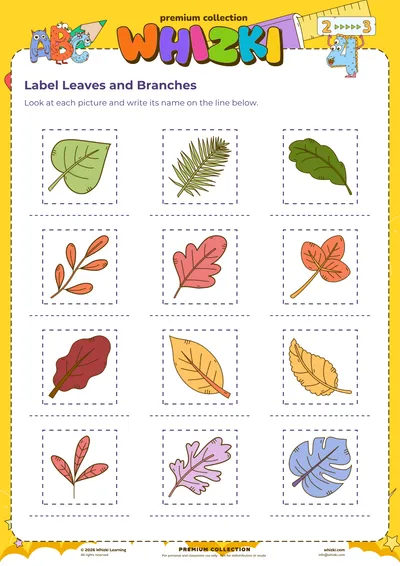 Label Leaves and Branches
