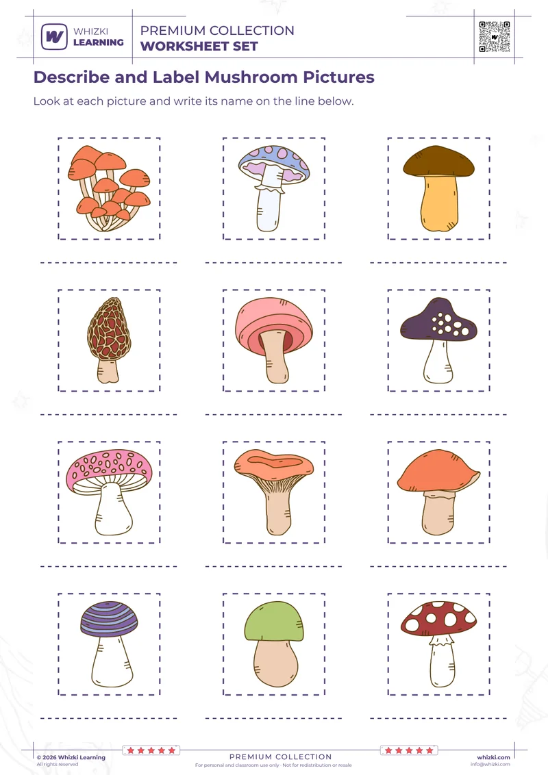 Describe and Label Mushroom Pictures