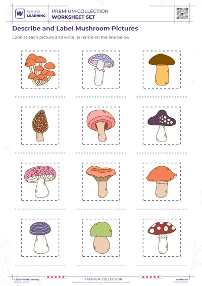 Describe and Label Mushroom Pictures