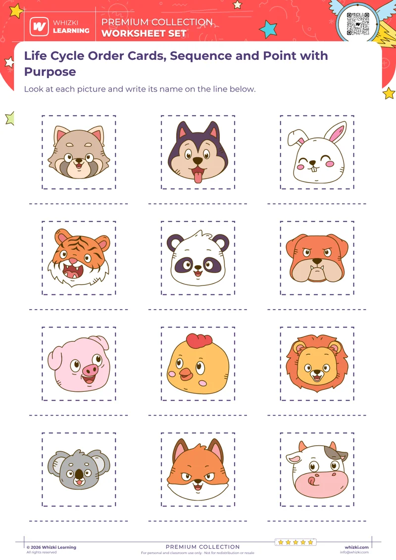 Life Cycle Order Cards, Sequence and Point with Purpose
