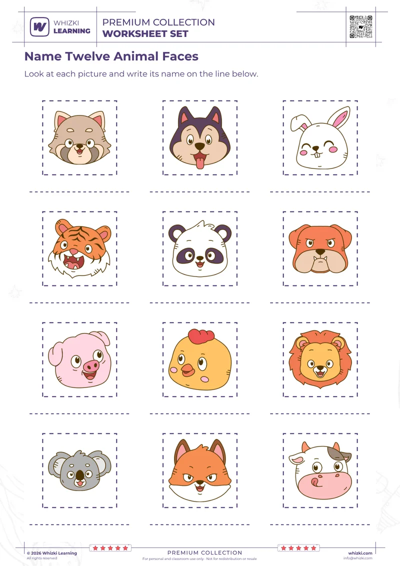 Name Twelve Animal Faces