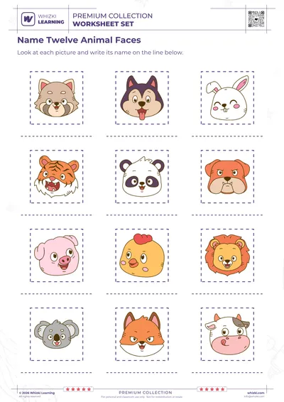 Name Twelve Animal Faces