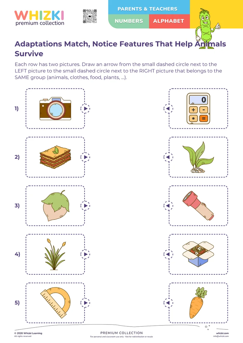 Adaptations Match, Notice Features That Help Animals Survive