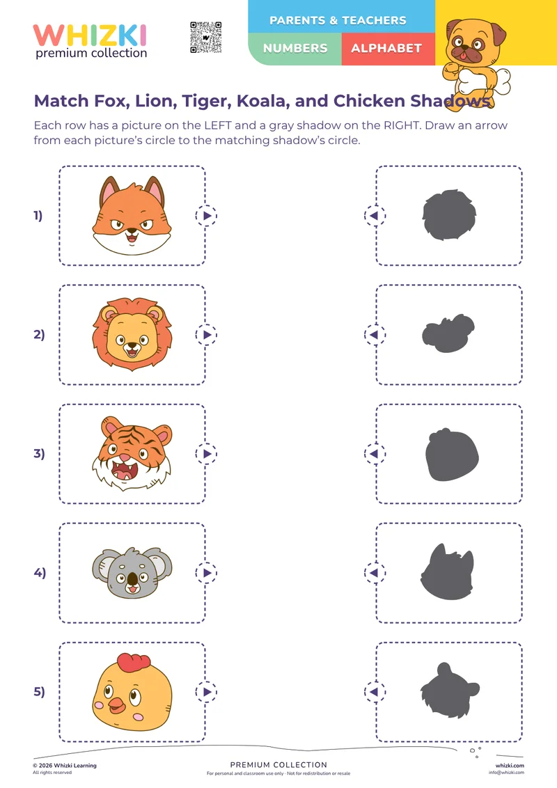 Match Fox, Lion, Tiger, Koala, and Chicken Shadows