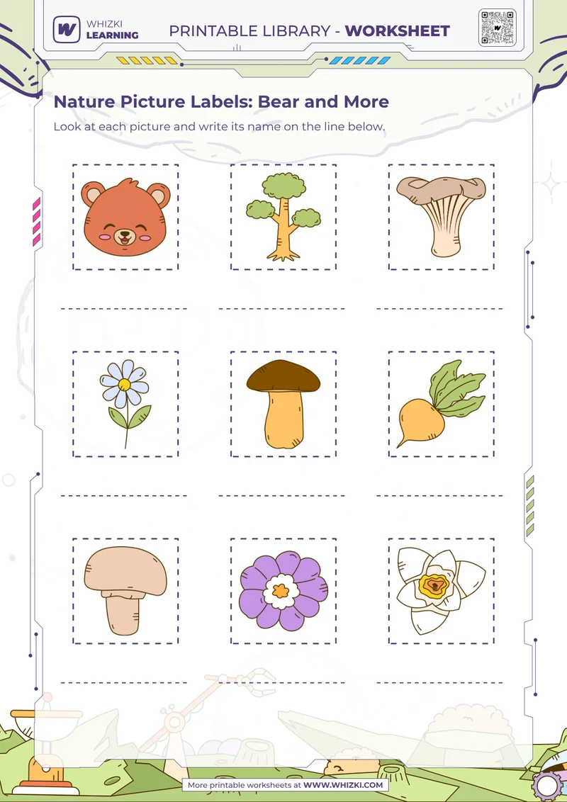 Nature Picture Labels: Bear and More