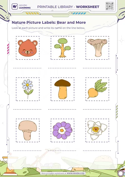 Nature Picture Labels: Bear and More