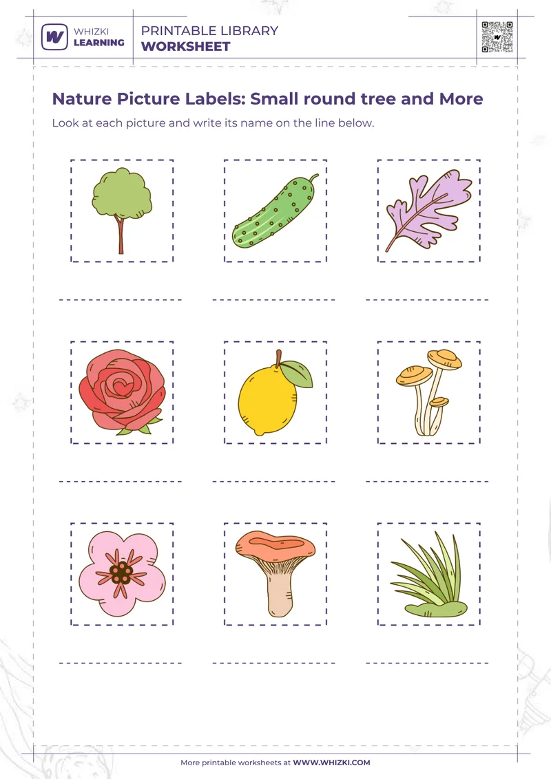 Nature Picture Labels: Small round tree and More