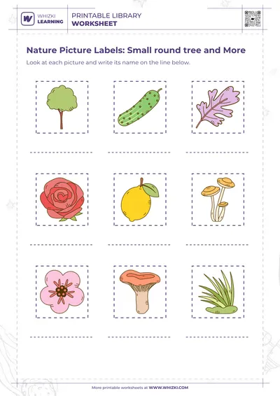 Nature Picture Labels: Small round tree and More