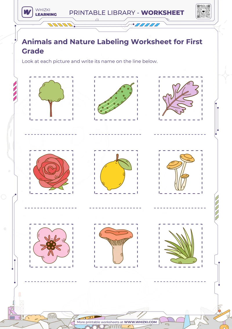 Animals and Nature Labeling Worksheet for First Grade