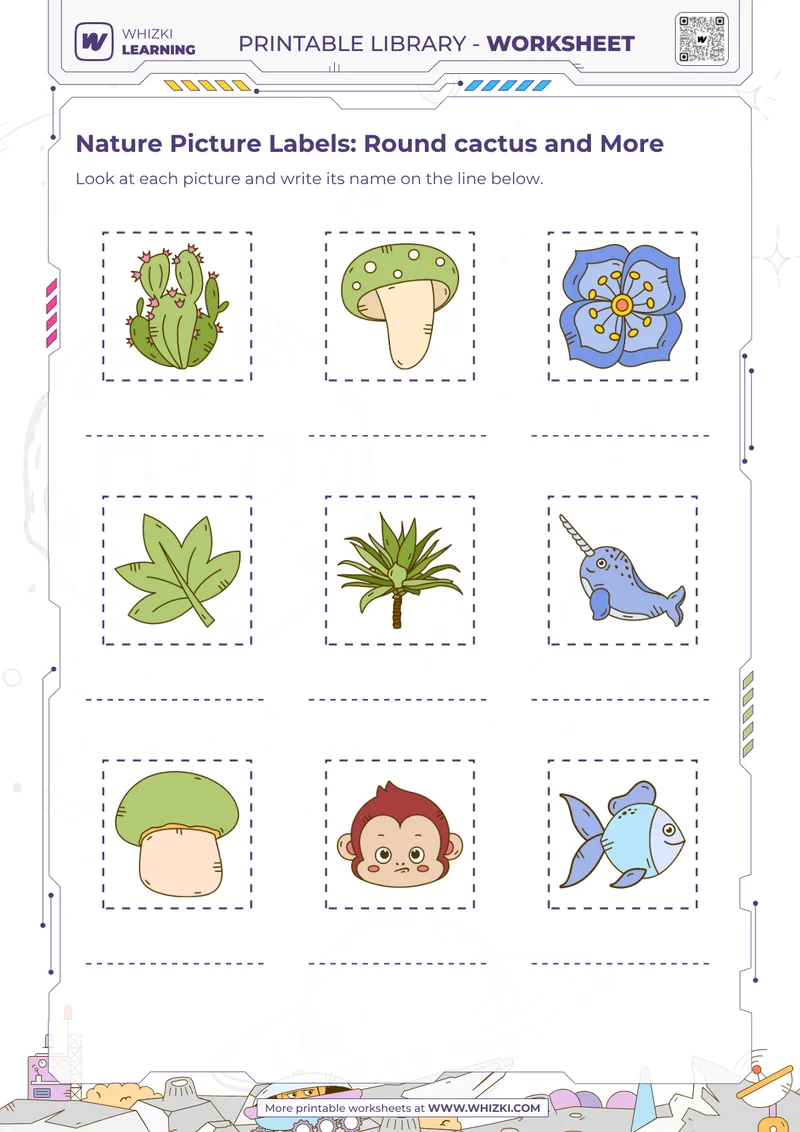 Nature Picture Labels: Round cactus and More