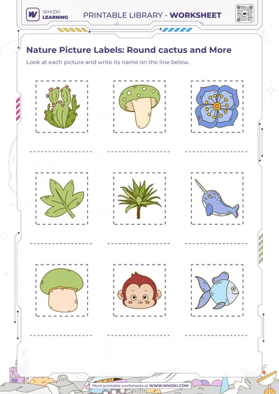 Nature Picture Labels: Round cactus and More