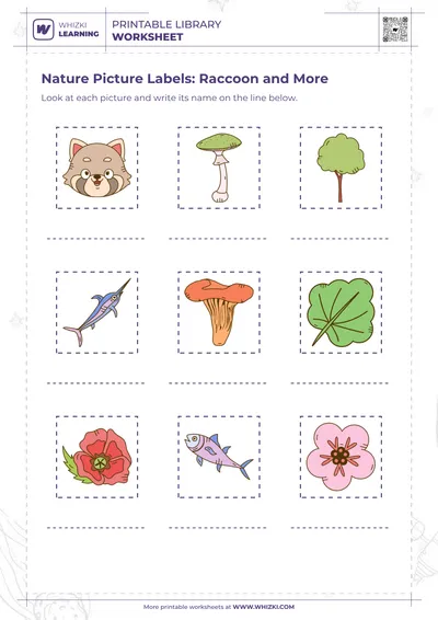 Nature Picture Labels: Raccoon and More
