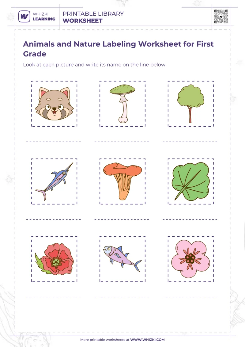 Animals and Nature Labeling Worksheet for First Grade