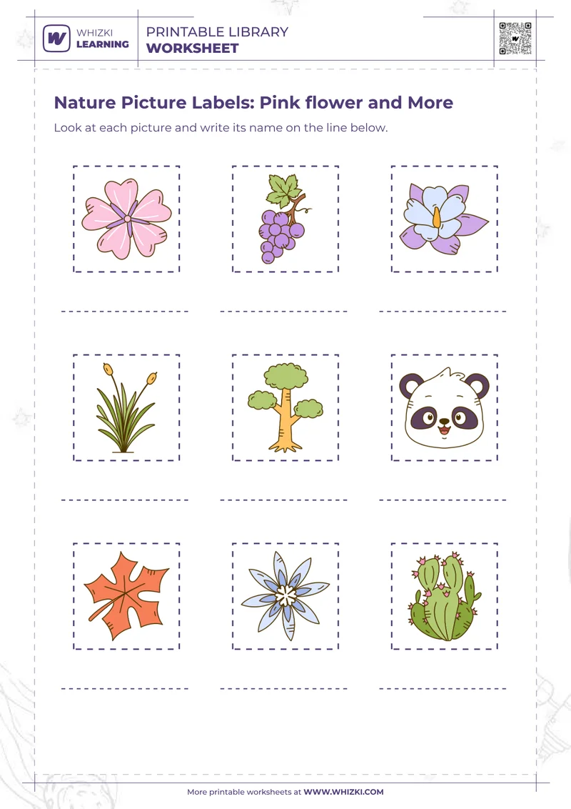 Nature Picture Labels: Pink flower and More