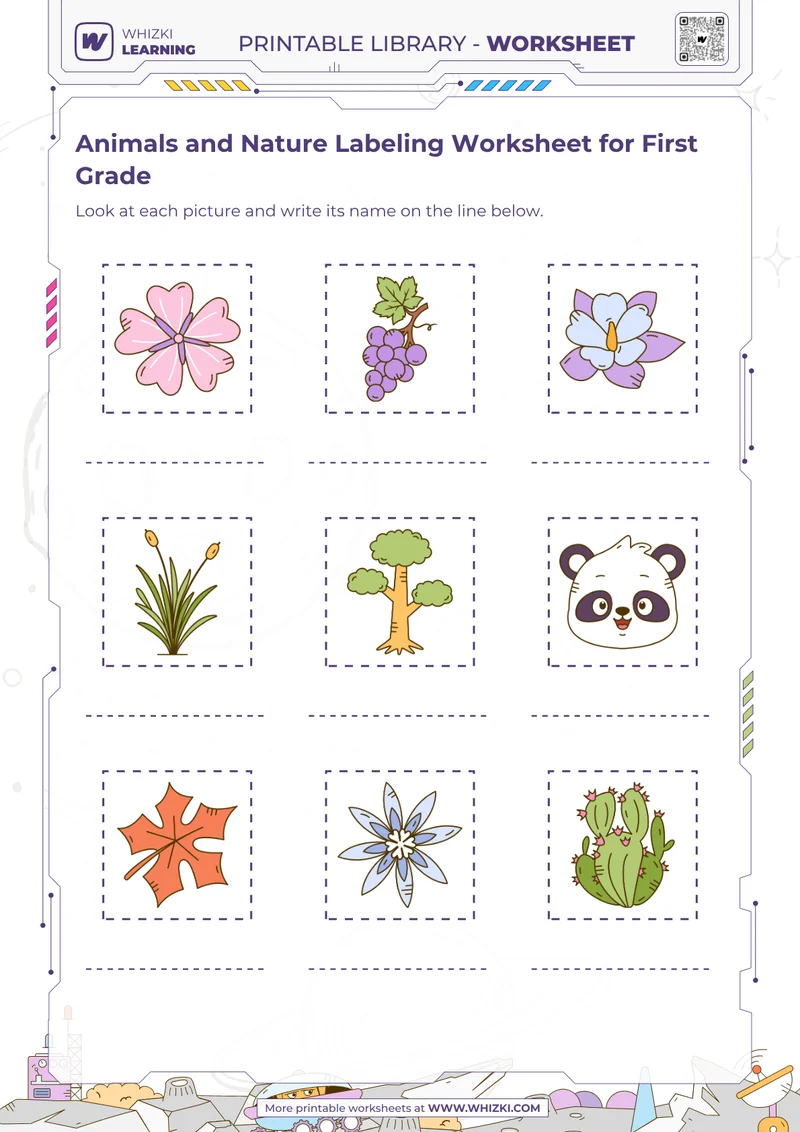 Animals and Nature Labeling Worksheet for First Grade