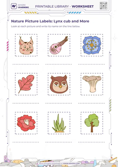 Nature Picture Labels: Lynx cub and More