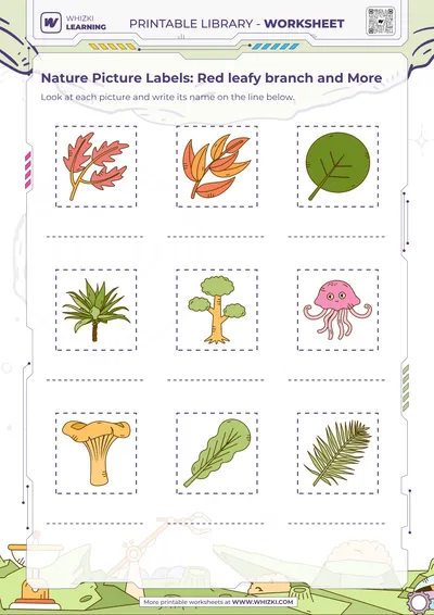 Nature Picture Labels: Red leafy branch and More