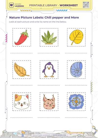 Nature Picture Labels: Chili pepper and More