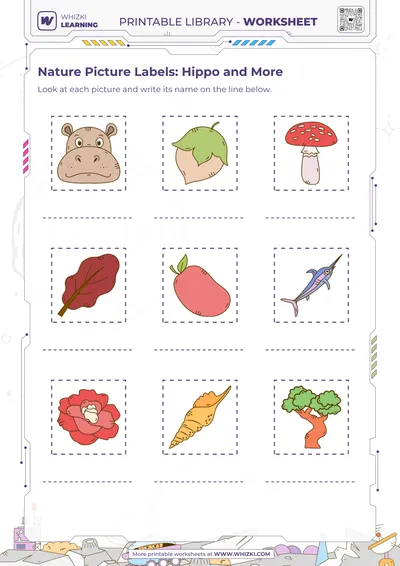 Nature Picture Labels: Hippo and More