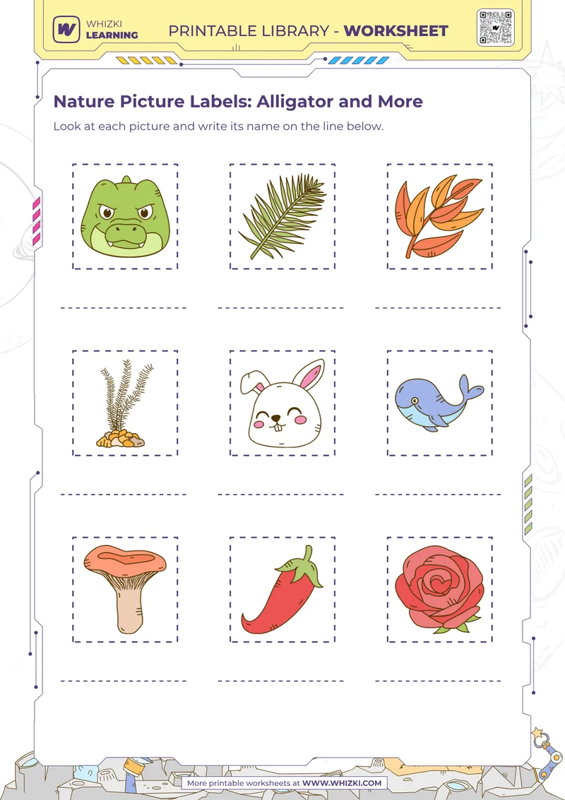 Nature Picture Labels: Alligator and More