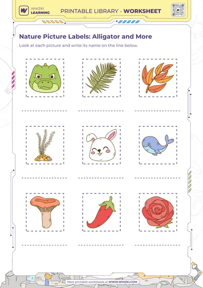 Nature Picture Labels: Alligator and More