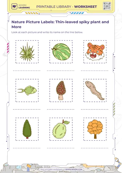 Nature Picture Labels: Thin-leaved spiky plant and More