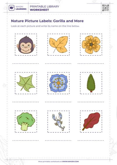 Nature Picture Labels: Gorilla and More