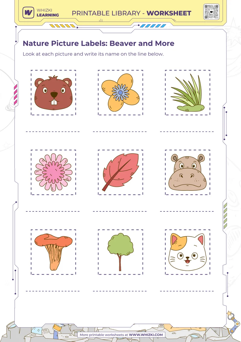 Nature Picture Labels: Beaver and More