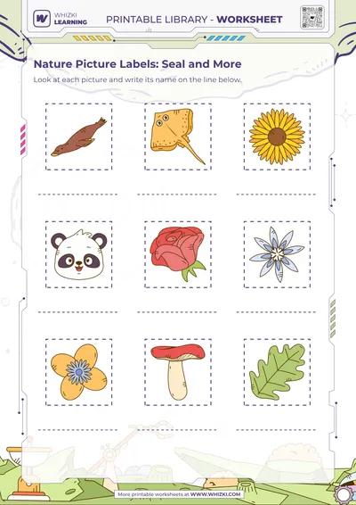 Nature Picture Labels: Seal and More