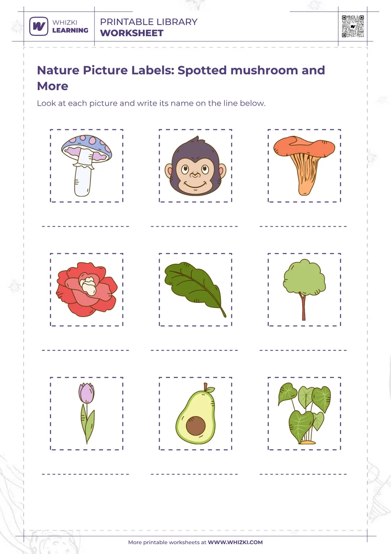 Nature Picture Labels: Spotted mushroom and More
