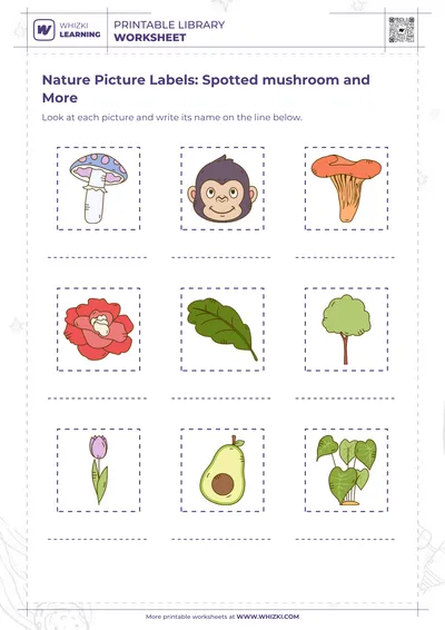 Nature Picture Labels: Spotted mushroom and More
