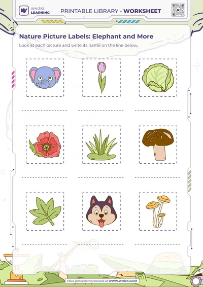 Nature Picture Labels: Elephant and More