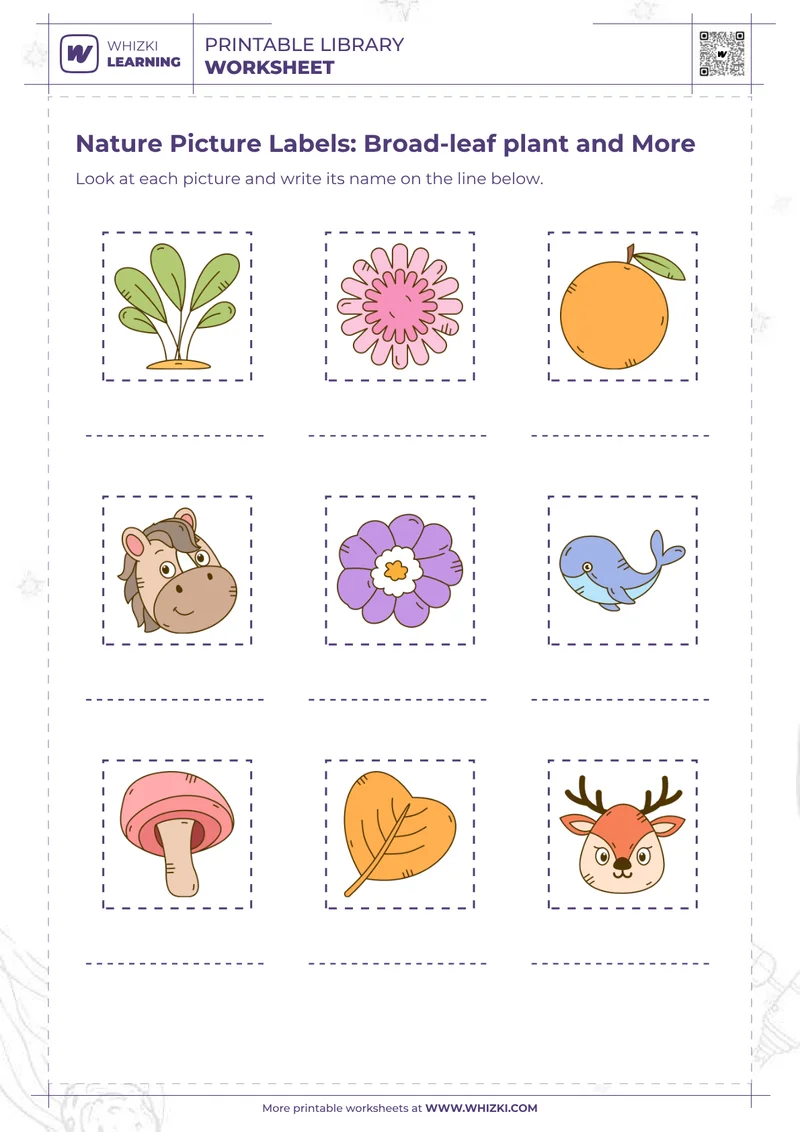 Nature Picture Labels: Broad-leaf plant and More