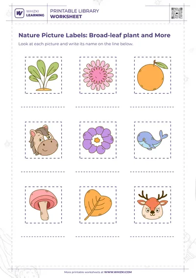 Nature Picture Labels: Broad-leaf plant and More