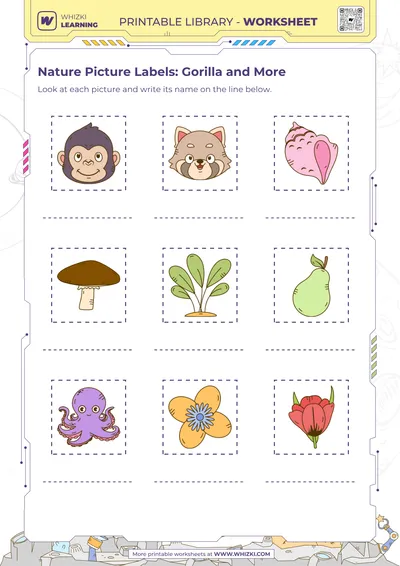 Nature Picture Labels: Gorilla and More
