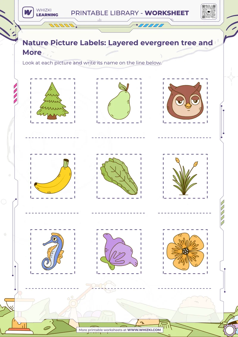Nature Picture Labels: Layered evergreen tree and More