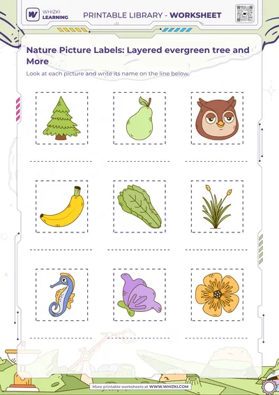 Nature Picture Labels: Layered evergreen tree and More