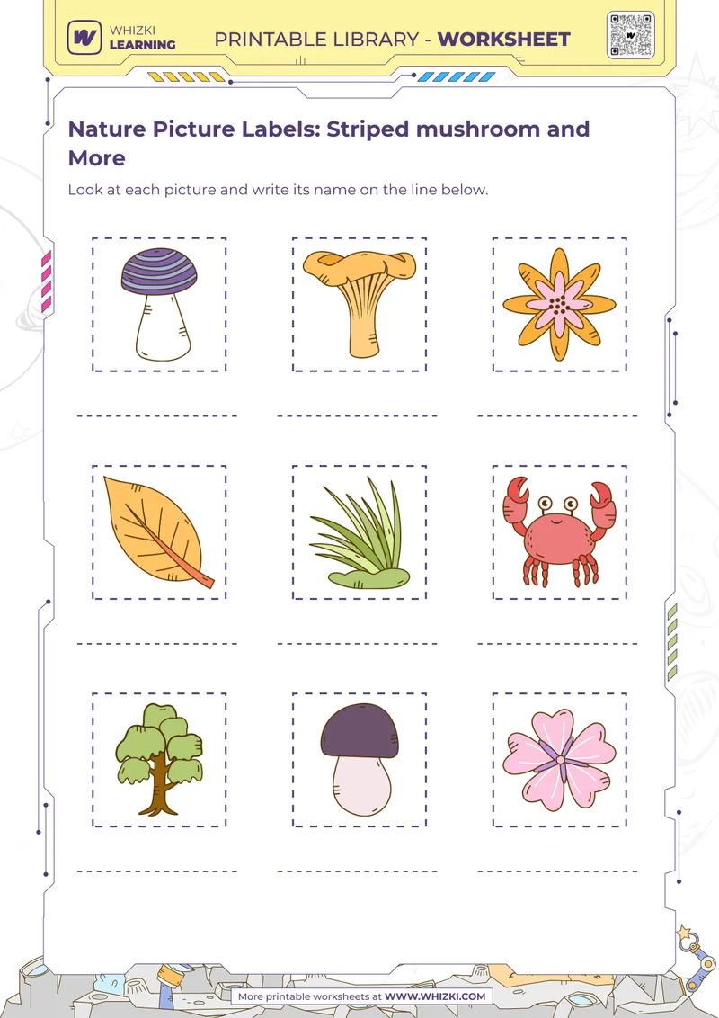 Nature Picture Labels: Striped mushroom and More